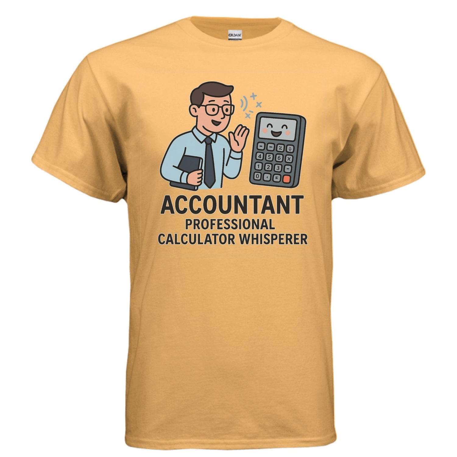 Accountant